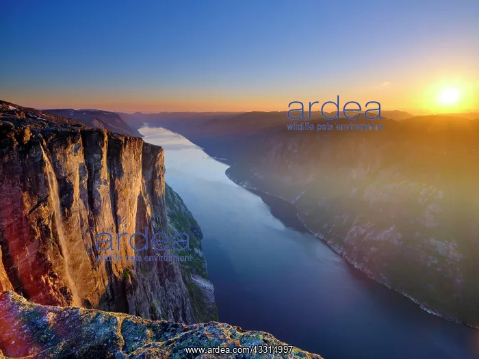 : Rock face of Kjerag above the Lysefjord in the evening : Rock face of Kjerag above the Lysefjord in the evening