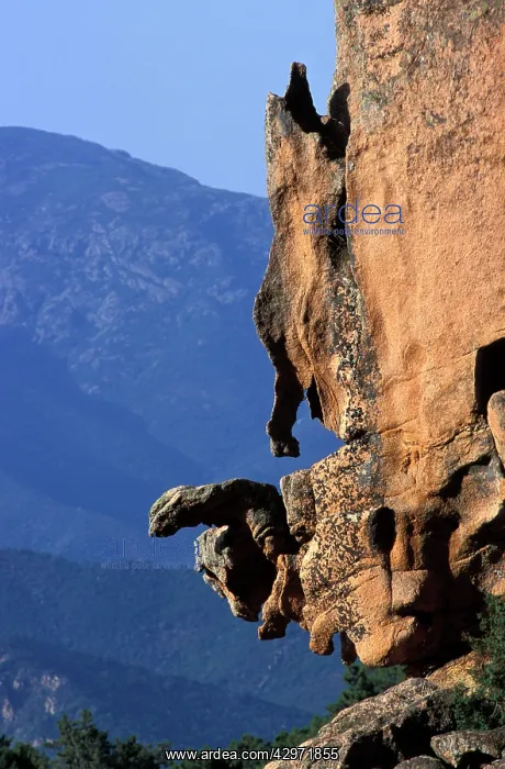 : Rock formation : Rock formation