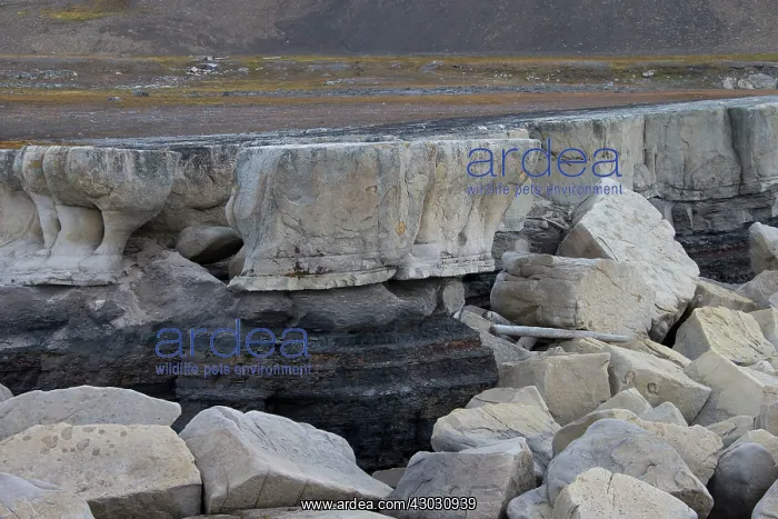  : Rock Formation