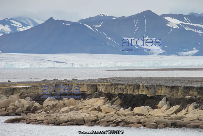  : Rock Formation