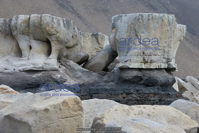  : Rock Formation