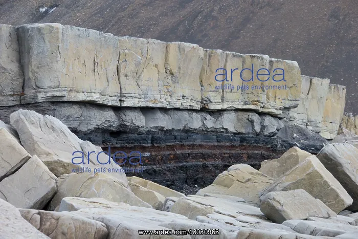  : Rock Formation