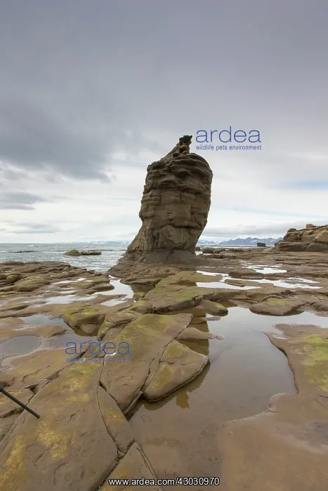  : Rock Formation