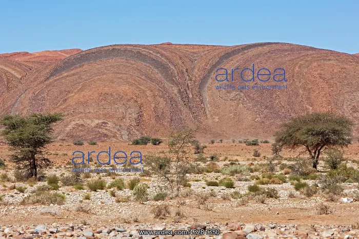  : Rock formation in the Anti-Atlas, Morocco, Africa