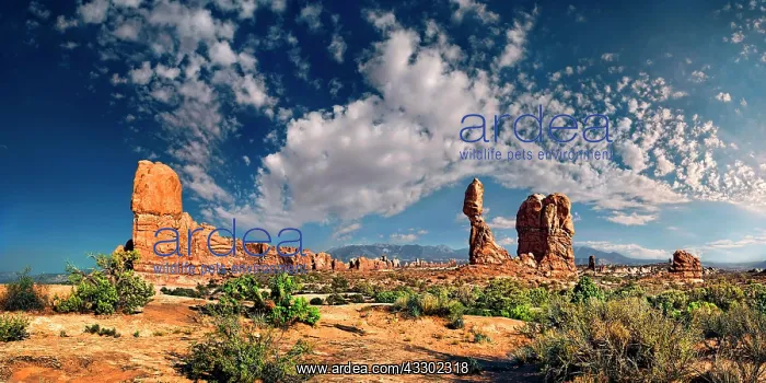 : Rock formation Balanced Rock, Arches National Park : Rock formation Balanced Rock, Arches National Park