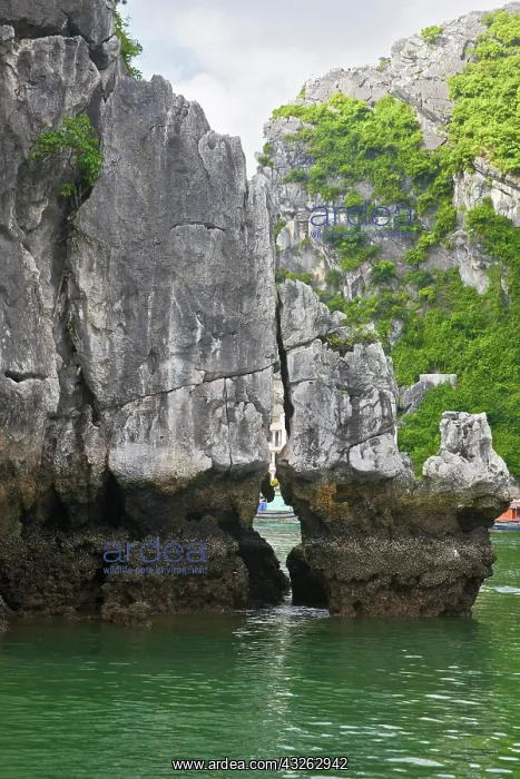 : Rock formation, Cat Ba national park, Cat : Rock formation, Cat Ba national park, Cat