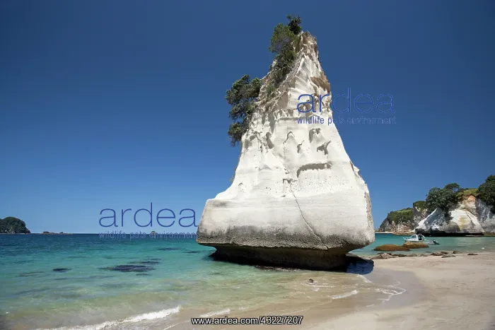 : Rock formation, Cathedral Cove, Coromandel : Rock formation, Cathedral Cove, Coromandel