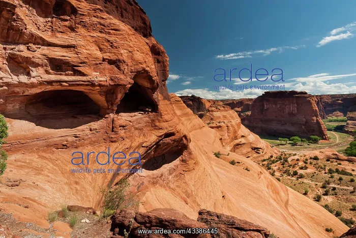 : Rock formation in Chelly Canyon National Park, Arizona : Rock formation in Chelly Canyon National Park, Arizona