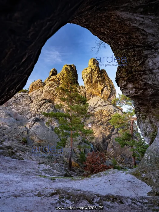 : Rock formation Hamburger Wappen, Teufelsmauer nature : Rock formation Hamburger Wappen, Teufelsmauer nature