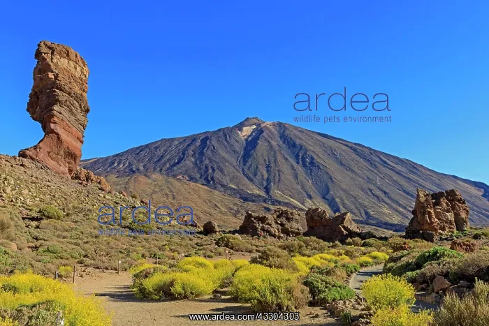 : Rock formation Los Roques de Garcia in front of : Rock formation Los Roques de Garcia in front of