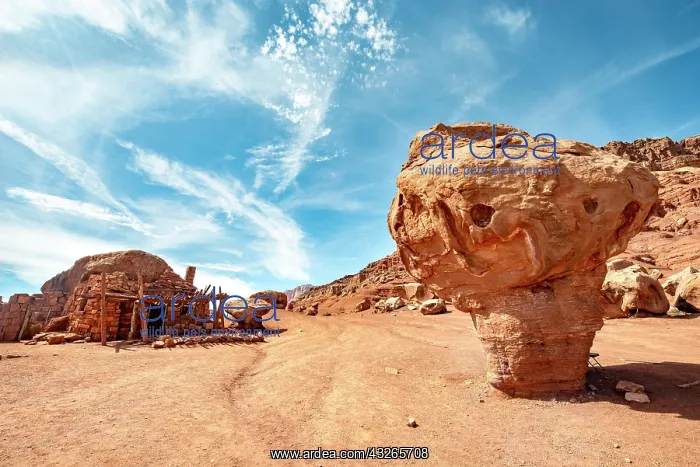: Rock formation, Marble Canyon, Coconino County : Rock formation, Marble Canyon, Coconino County