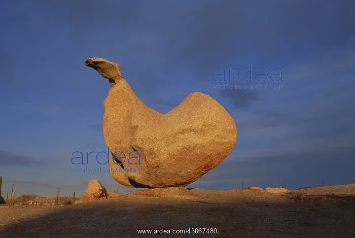 : Rock Formation, Mexico : Rock Formation, Mexico