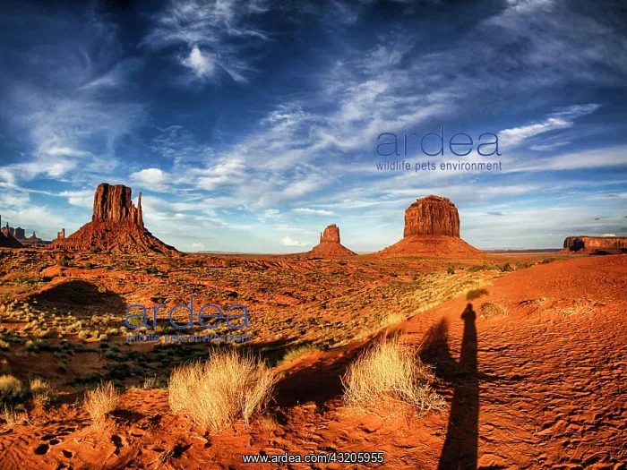 : Rock formation in Monument Valley, illuminated b : Rock formation in Monument Valley, illuminated b