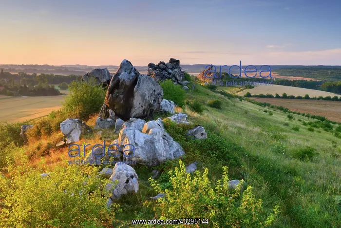 : Rock formation, nature reserve Teufelsmauer, morning : Rock formation, nature reserve Teufelsmauer, morning