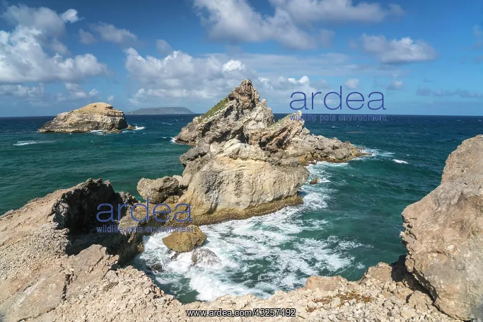 : Rock formation on the Pointe des Chateaux peninsula : Rock formation on the Pointe des Chateaux peninsula