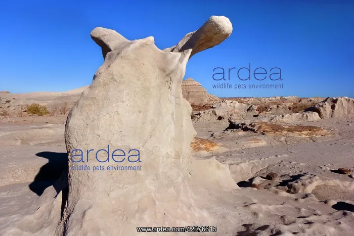  : Rock Formation - prehistoric geological weirdly
