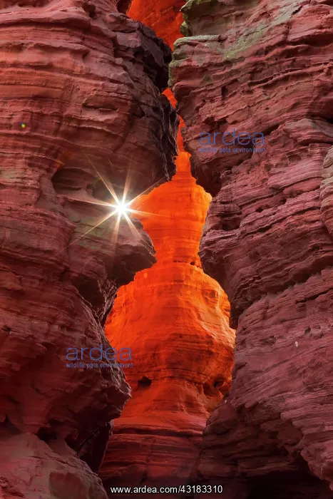 : Rock formation of sandstone at light incidence : Rock formation of sandstone at light incidence