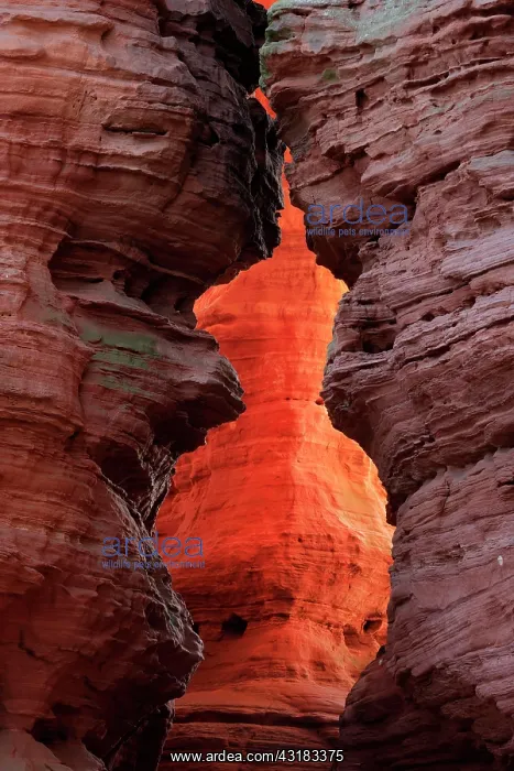 : Rock formation of sandstone at light incidence : Rock formation of sandstone at light incidence