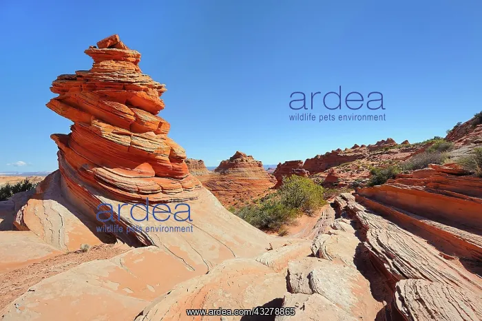 : Rock formation, South Coyote Buttes Wilderness : Rock formation, South Coyote Buttes Wilderness