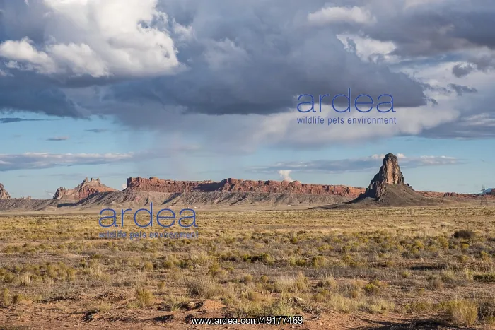: Rock formation and steppe under storm clouds : Rock formation and steppe under storm clouds