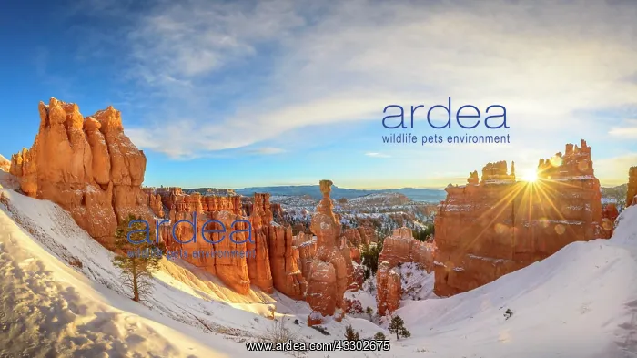 : Rock formation Thors Hammer at sunrise, bizarre : Rock formation Thors Hammer at sunrise, bizarre