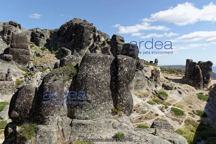 : Rock formation below the Torre, Serra da Estrela : Rock formation below the Torre, Serra da Estrela
