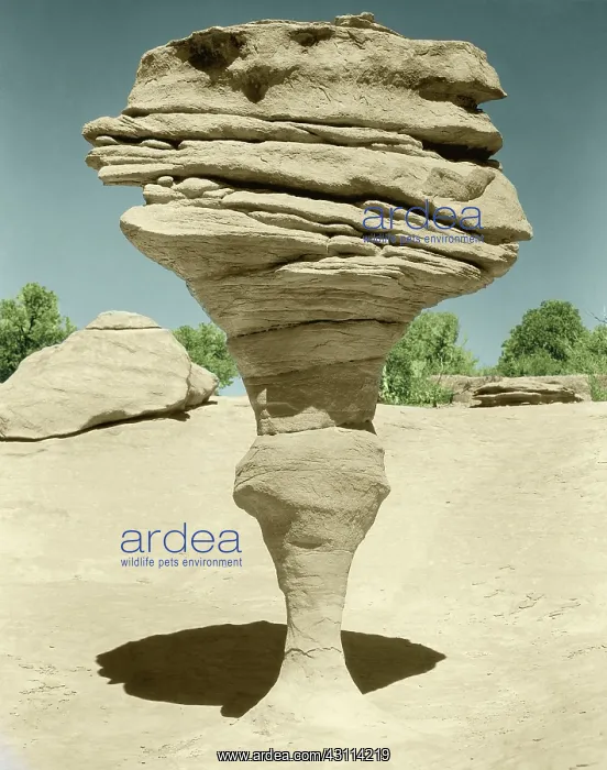 : Rock Formation, Utah National Park : Rock Formation, Utah National Park