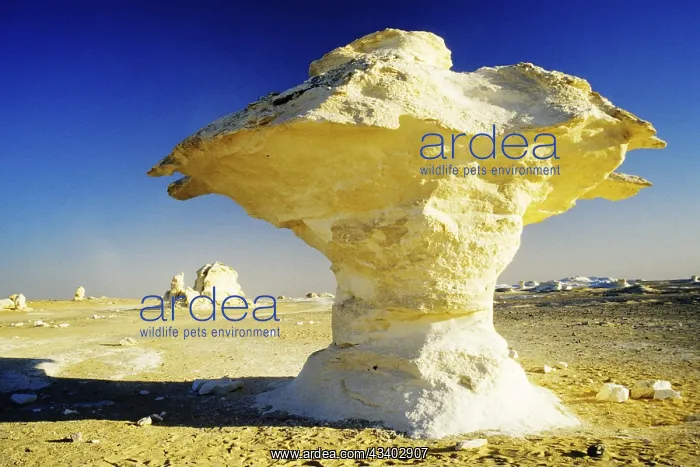 : Rock formation in the White Desert, Egypt, White : Rock formation in the White Desert, Egypt, White