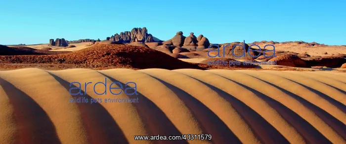 : Rock Formations : Rock Formations