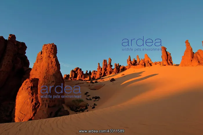 : Rock Formations : Rock Formations