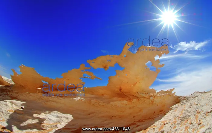 : Rock Formations : Rock Formations