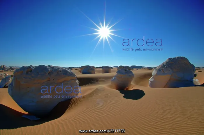 : Rock Formations : Rock Formations