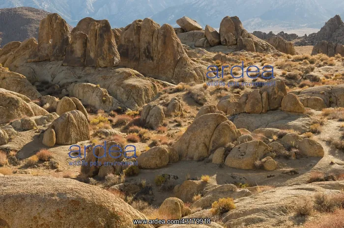 : Rock Formations in Alabama Hills : Rock Formations in Alabama Hills