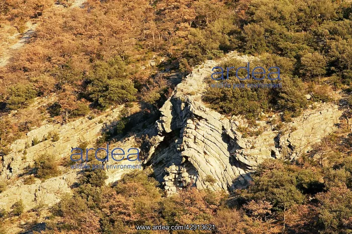  : Rock formations, Baronnies, France