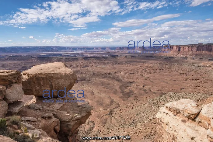 : Rock formations in the canyon landscape panorama : Rock formations in the canyon landscape panorama