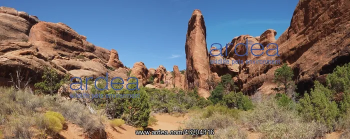 : Rock formations in Devil's Garden, Arches National : Rock formations in Devil's Garden, Arches National