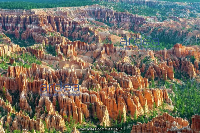 : Rock formations and hoodoos, Bryce Canyon at sunrise : Rock formations and hoodoos, Bryce Canyon at sunrise