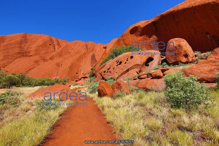 : Rock formations on the Mala Walk at Uluru, Ayers : Rock formations on the Mala Walk at Uluru, Ayers