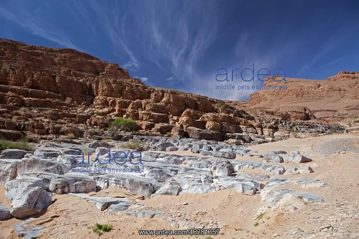 : Rock formations in the Middle Atlas, Morocco, Africa : Rock formations in the Middle Atlas, Morocco, Africa