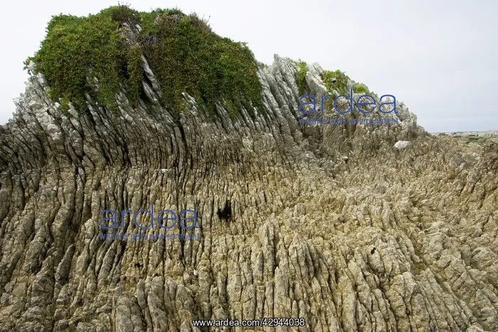 : Rock formations - Oligocene tilted folded vertical : Rock formations - Oligocene tilted folded vertical