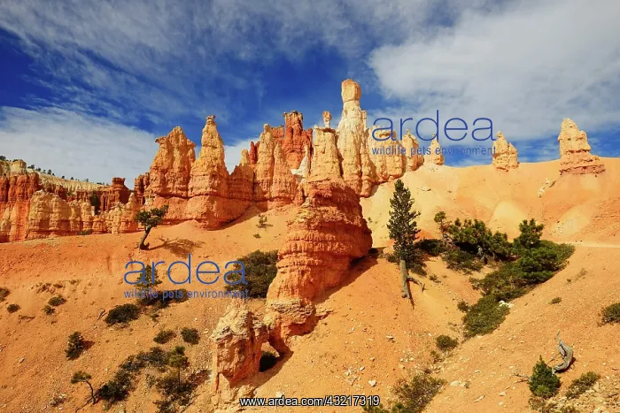 : Rock formations on the Peckaboo Trail, Bryce Canyon : Rock formations on the Peckaboo Trail, Bryce Canyon