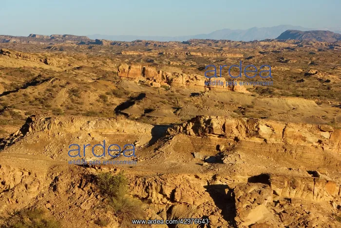 : Rock Formations - prehistoric geological rock formations : Rock Formations - prehistoric geological rock formations