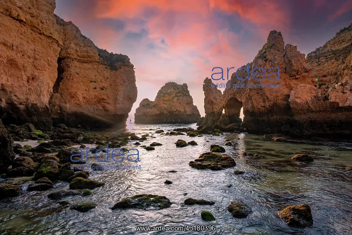 : Rock formations in the sea, dawn, sandstone cliff : Rock formations in the sea, dawn, sandstone cliff