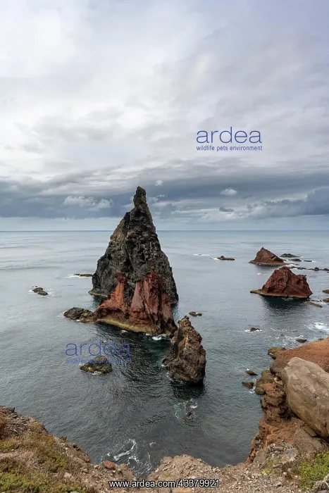 : Rock formations in the sea, Miradouro de Soo Lourenio : Rock formations in the sea, Miradouro de Soo Lourenio