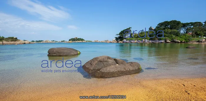 : Rock formations, Sentier des Douaniers, Perros-Guirec : Rock formations, Sentier des Douaniers, Perros-Guirec