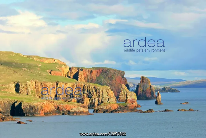 : Rock formations - steep cliffs and rock formations : Rock formations - steep cliffs and rock formations