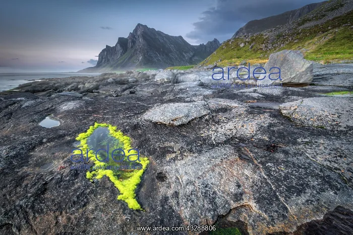 : Rock formations with tidal pools, coastal strip : Rock formations with tidal pools, coastal strip