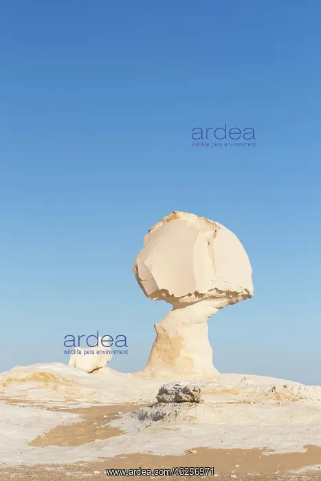 : Rock formations, white desert, Western Libyan desert : Rock formations, white desert, Western Libyan desert