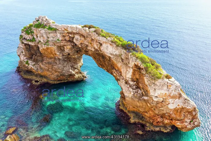 : Rock gate Es Pontas in the sea, near Cala Santayi : Rock gate Es Pontas in the sea, near Cala Santayi