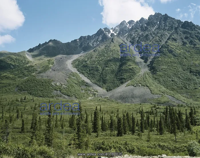 : Rock Glaciers : Rock Glaciers